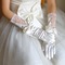 Transluzent Volle finger Glamouröse Spitze Frühling Hochzeit Handschuhe