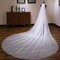 Braut langer Schwanz Hochzeitsschleier Kopfbedeckung weiß glänzender Sternenhimmel Schleier - Seite 2