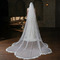 Brautschleier einfacher Schweifschleier Spitze bedeckt Hochzeitsschleier