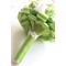 Neue handgemachte frische Früchte grüne Braut hält Blumen - Seite 2