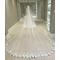 Kathedrale Spitze Applique Schleier exquisite und elegante Brautschleier Braut großen Schwanz Schleier 350CM