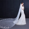 New Style lange Brautschleier Hochzeitsschleier Pailletten Spitze exquisite Schleier 3M - Seite 5