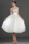 Prinzessin Natürliche Taille Weiß Rechteck Tüll Spitze Brautkleid - Seite 1