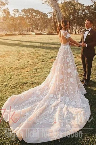 Brautkleid Tüll V-Ausschnitt Durchsichtige Ärmel Rosendekor Strand - Seite 4