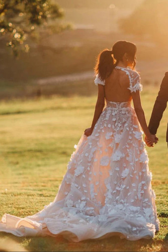 Brautkleid Tüll V-Ausschnitt Durchsichtige Ärmel Rosendekor Strand - Seite 3